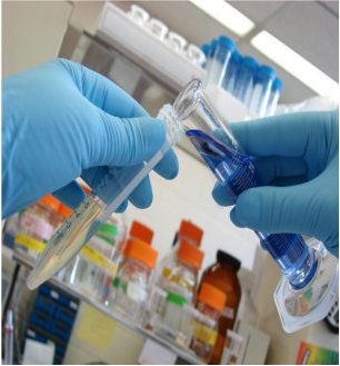DCR assits in the development of novel therapeutic agents in Phase II, III and IV clinical trials